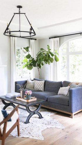 simple-living-room-interior-BBNDK7S